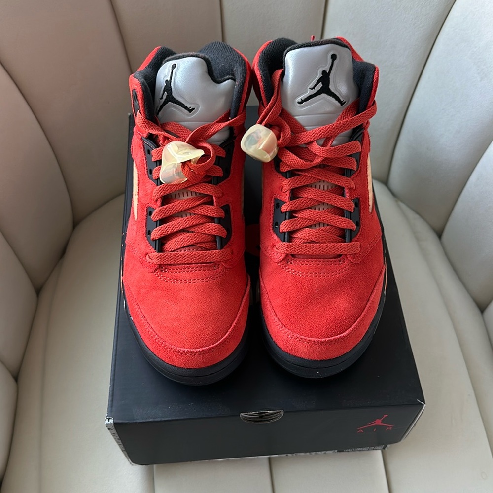 Dunk on Mars Retro Jordan